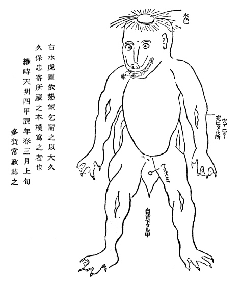 「右水虎圖依懇望乞需之以大久(久)保忠寄所藏之本模寫之者也…」のキャプション付きの河童の図