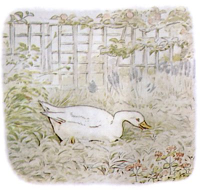 挿絵17