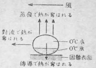「第5図」のキャプション付きの図